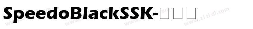 SpeedoBlackSSK字体转换