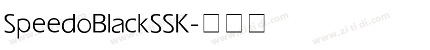 SpeedoBlackSSK字体转换