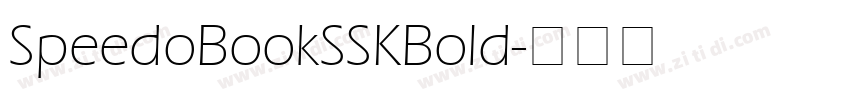 SpeedoBookSSKBold字体转换