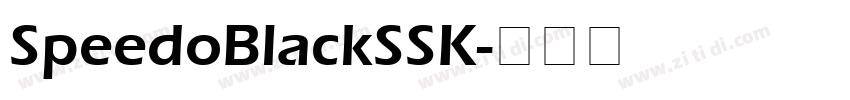 SpeedoBlackSSK字体转换