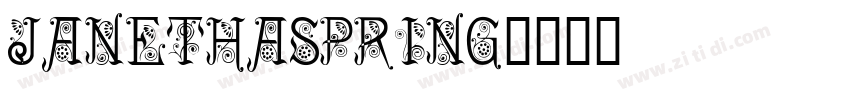 JanethaSpring字体转换