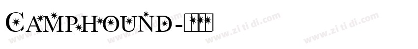 Camphound字体转换