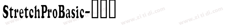 StretchProBasic字体转换