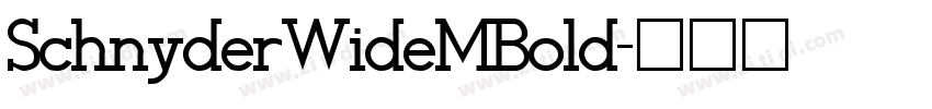 SchnyderWideMBold字体转换