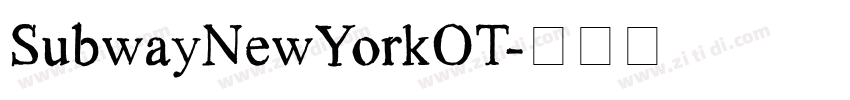 SubwayNewYorkOT字体转换