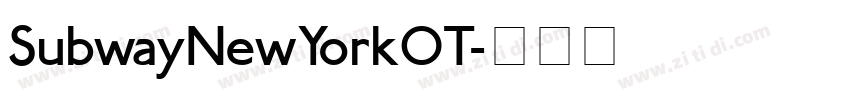 SubwayNewYorkOT字体转换