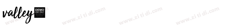 valley字体转换