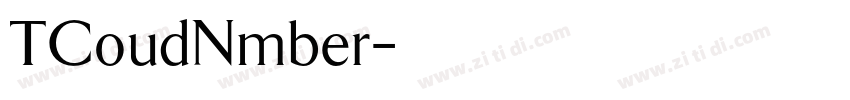 TCoudNmber字体转换