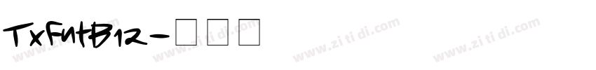 TxFntB12字体转换