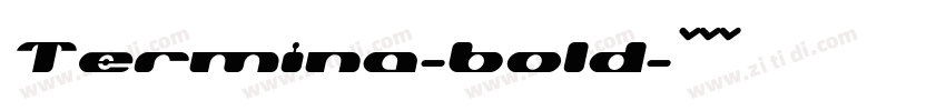 Termina-bold字体转换