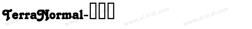 TerraNormal字体转换