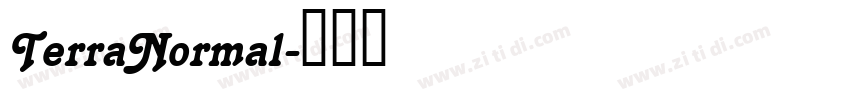 TerraNormal字体转换