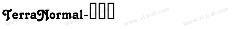 TerraNormal字体转换