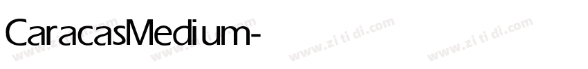 CaracasMedium字体转换