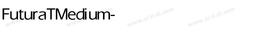 FuturaTMedium字体转换 FuturaTMedium字体转换