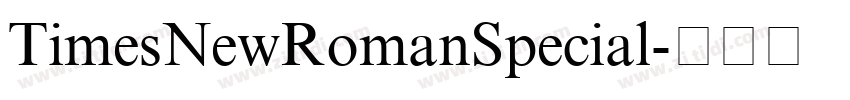 TimesNewRomanSpecial字体转换
