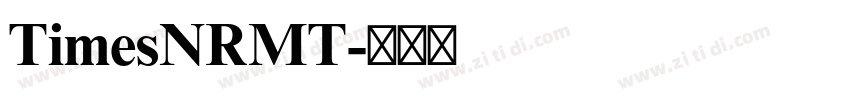 TimesNRMT字体转换