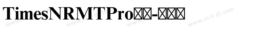 TimesNRMTPro字体字体转换