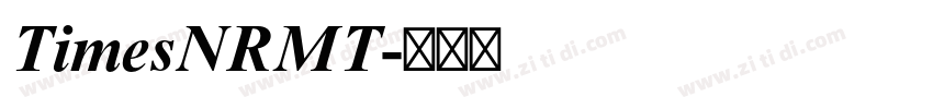 TimesNRMT字体转换