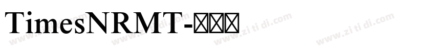 TimesNRMT字体转换