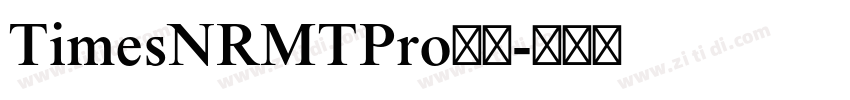 TimesNRMTPro字体字体转换