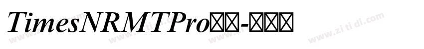TimesNRMTPro字体字体转换