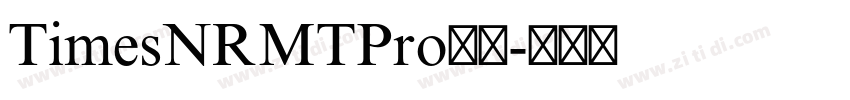 TimesNRMTPro字体字体转换