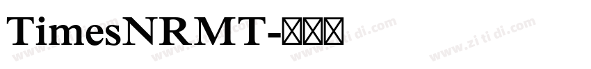 TimesNRMT字体转换