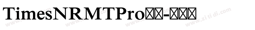 TimesNRMTPro字体字体转换
