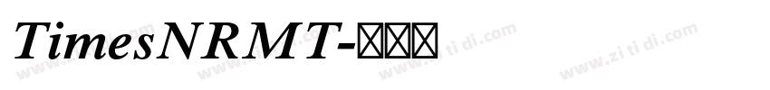 TimesNRMT字体转换
