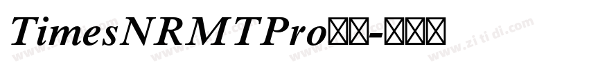 TimesNRMTPro字体字体转换