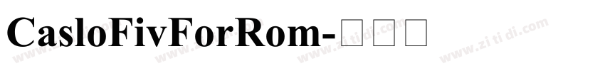 CasloFivForRom字体转换