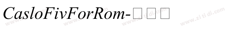 CasloFivForRom字体转换