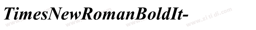 TimesNewRomanBoldIt字体转换