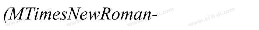 (MTimesNewRoman字体转换
