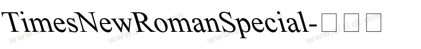 TimesNewRomanSpecial字体转换