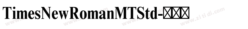 TimesNewRomanMTStd字体转换