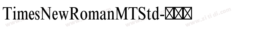 TimesNewRomanMTStd字体转换