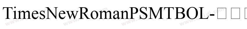 TimesNewRomanPSMTBOL字体转换