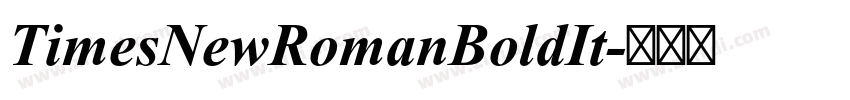 TimesNewRomanBoldIt字体转换