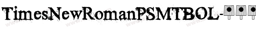 TimesNewRomanPSMTBOL字体转换