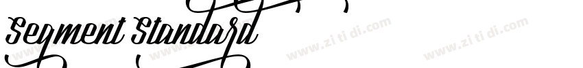 Segment7Standard字体转换
