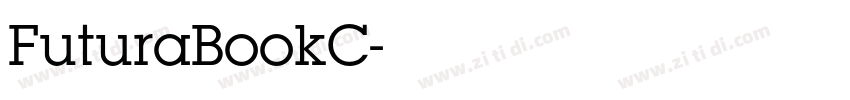 FuturaBookC字体转换