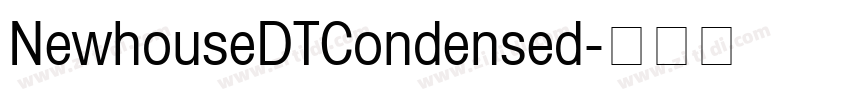 NewhouseDTCondensed字体转换