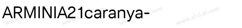 ARMINIA21caranya字体转换