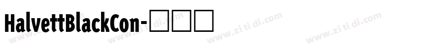 HalvettBlackCon字体转换