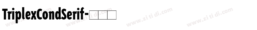 TriplexCondSerif字体转换