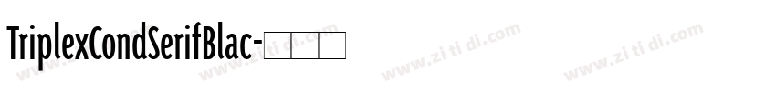 TriplexCondSerifBlac字体转换 TriplexCondSerifBlac字体转换