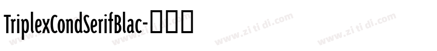 TriplexCondSerifBlac字体转换 TriplexCondSerifBlac字体转换