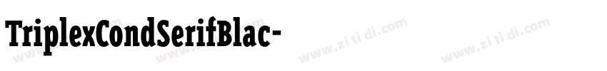 TriplexCondSerifBlac字体转换 TriplexCondSerifBlac字体转换